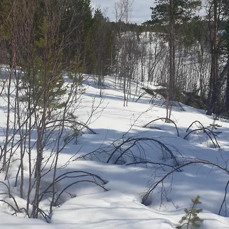 Malangen Aurora