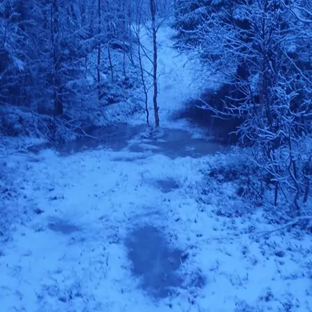 Сasa de vacaciones Malangen Aurora
