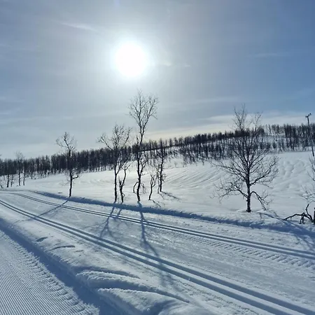 Malangen Aurora